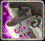 sg-9.gif