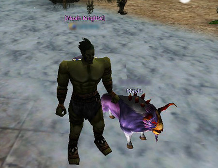 571807_701.jpg